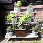 Vendégház Zum Alten Krug
