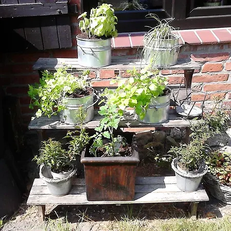Zum Alten Krug Guest house Schillig