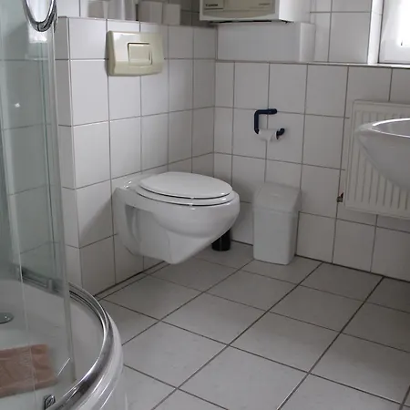 Zum Alten Krug Guest house 3*
