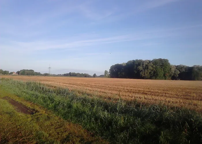 Konukevi Zum Alten Krug 4*