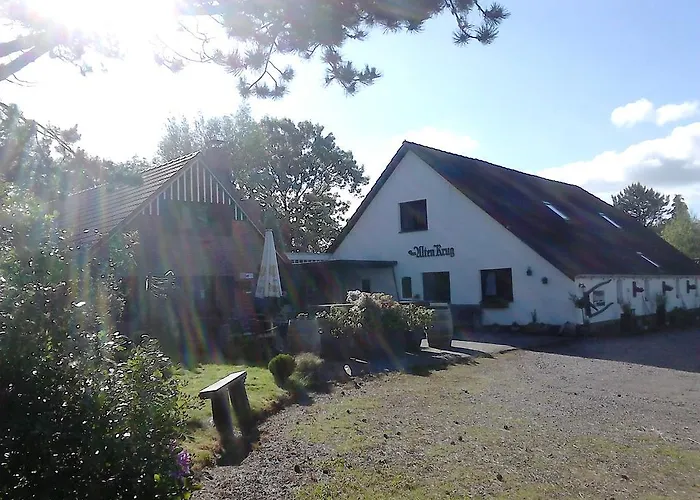 Gasthuis Zum Alten Krug 4*