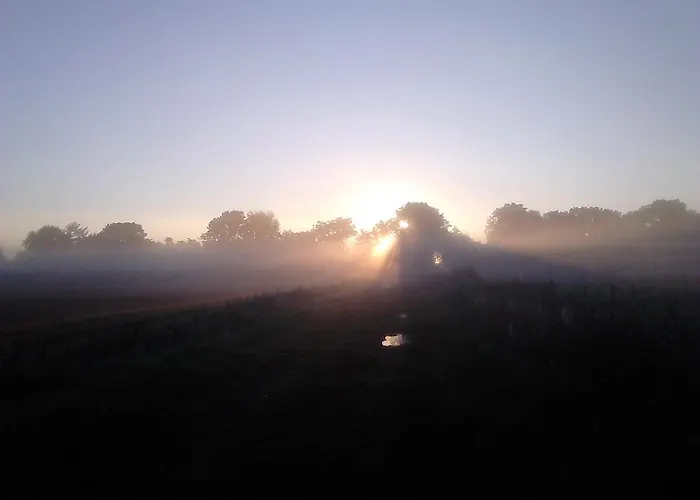 Zum Alten Krug Gasthuis Schillig